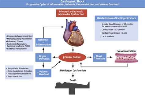 oxylyc|(PDF) Oxylyc use in the comprehensive treatmentof patients with ...